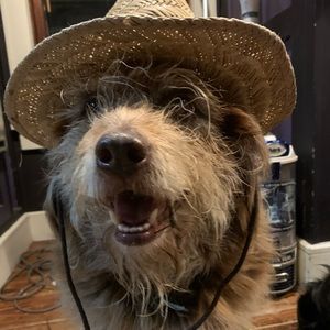 Meet your Posher, Geoffrey